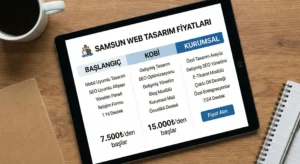 Samsun Web Tasarım Fiyatları